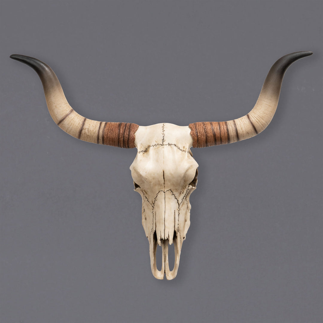 Longhorn marhakoponya fali szobor (Műgyanta szobor)
