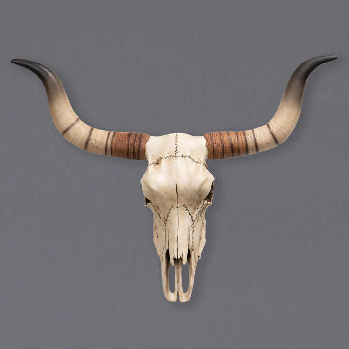 Longhorn marhakoponya fali szobor (Műgyanta szobor)