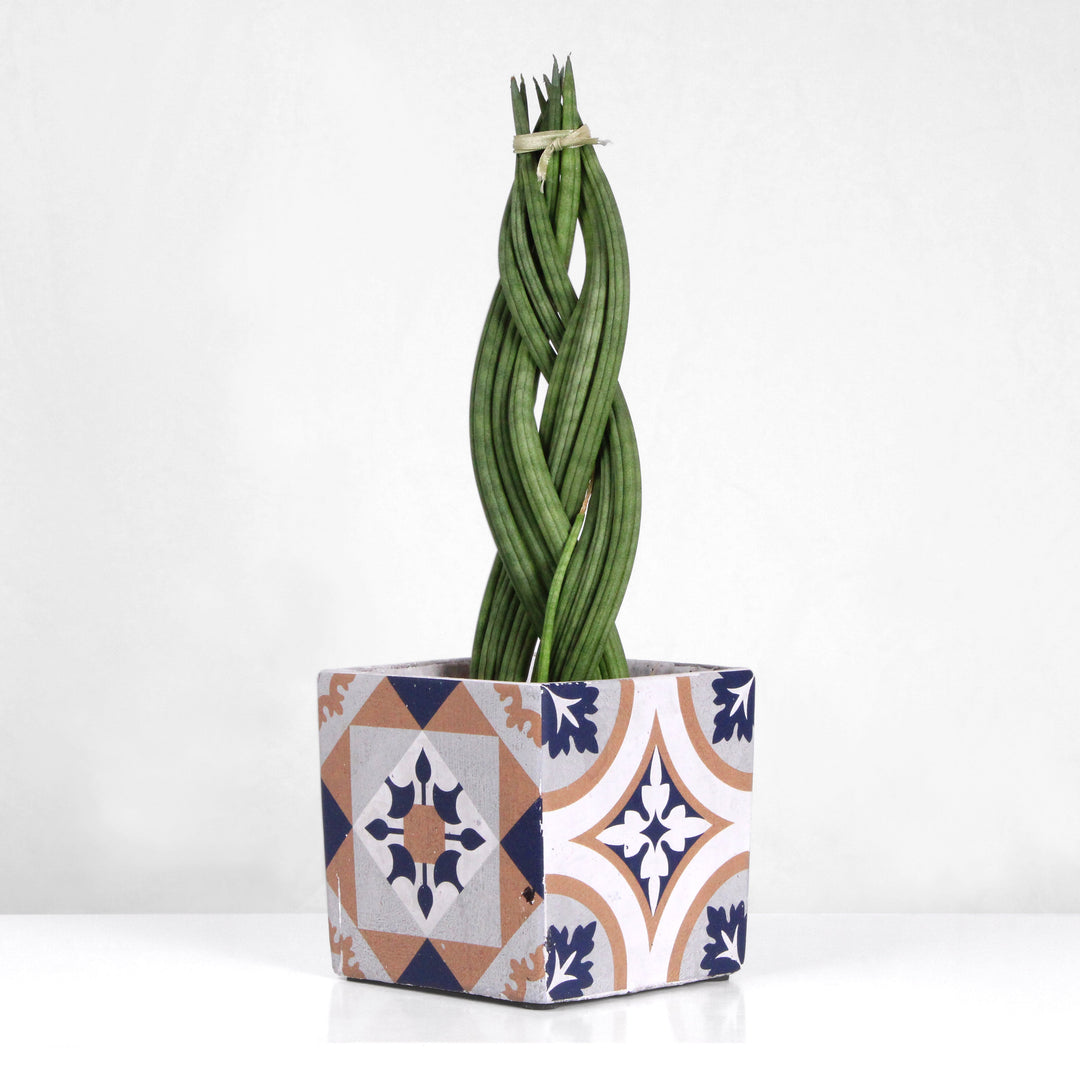 Mediterrán Kék Kaspó