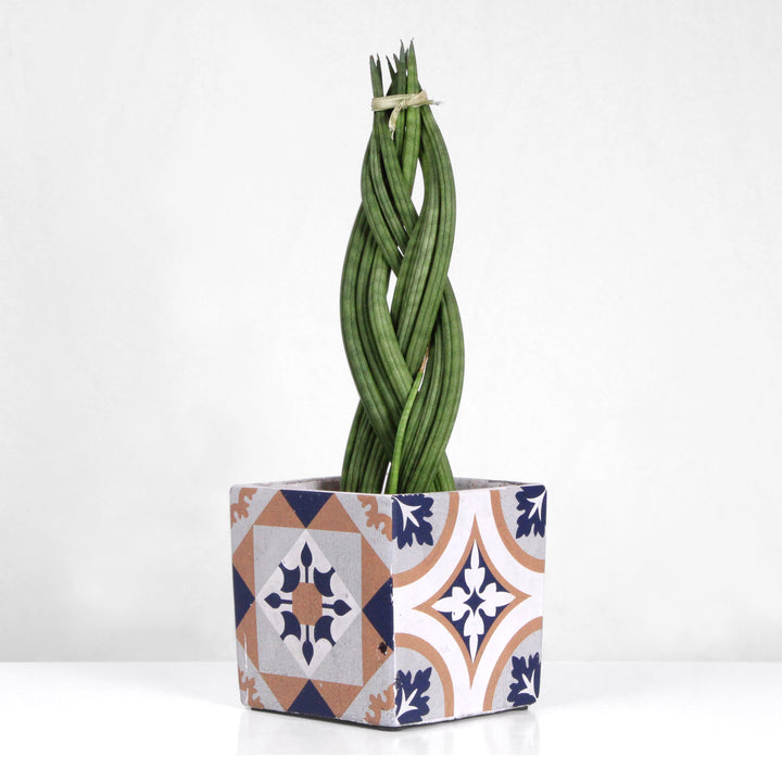 Mediterrán Kék Kaspó