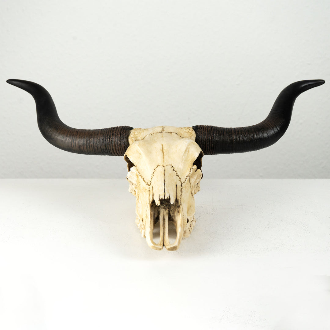 Longhorn Koponya Fali Dísz (Gyanta Szobor)
