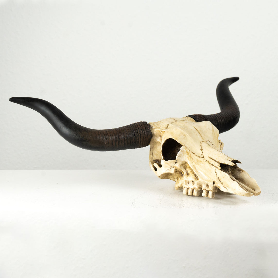Longhorn Koponya Fali Dísz (Gyanta Szobor)