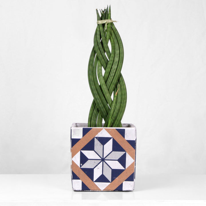 Mediterrán Kék Kaspó