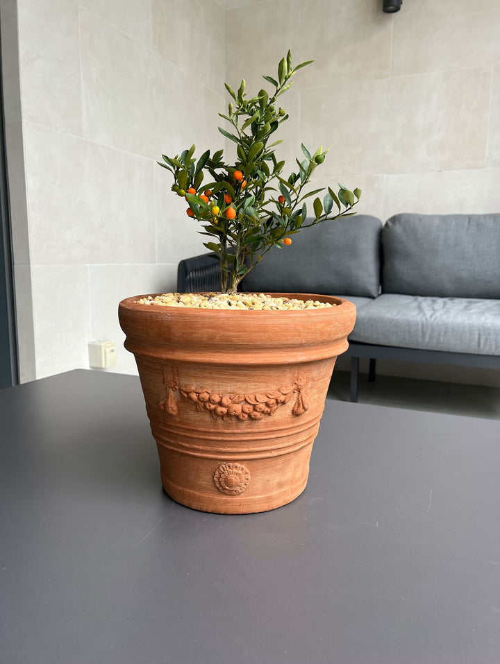 Közepes Terrakotta Ültető