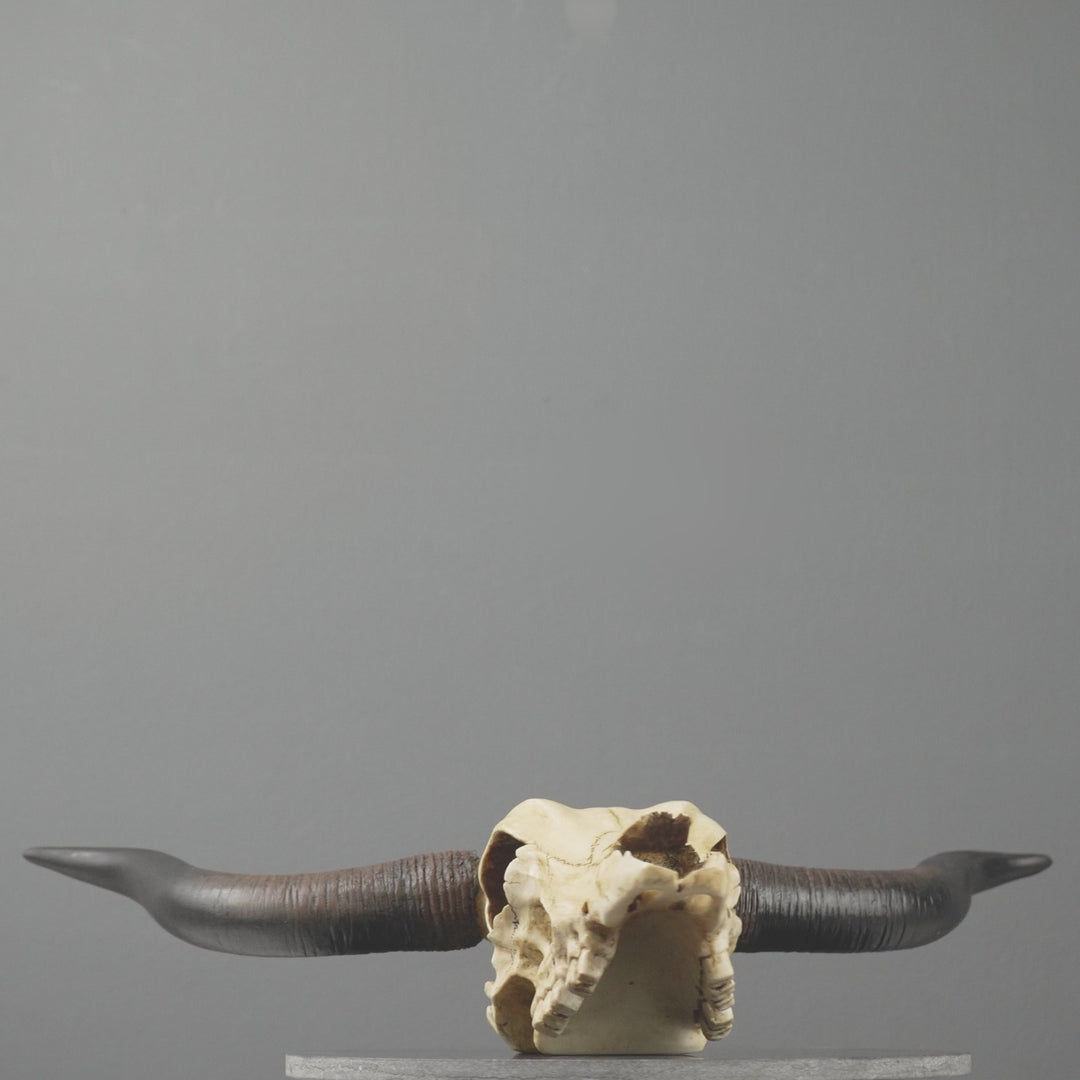 Longhorn Koponya Fali Dísz (Gyanta Szobor)