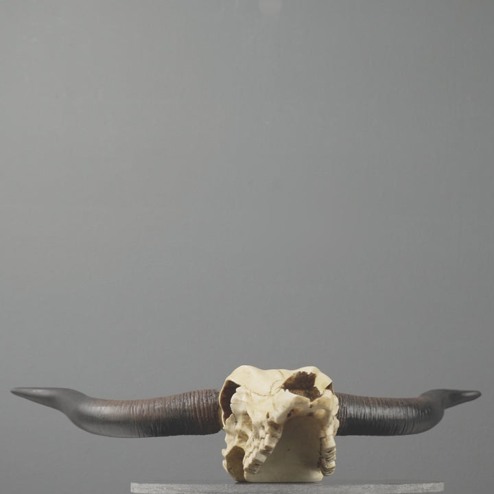 Longhorn Koponya Fali Dísz (Gyanta Szobor)