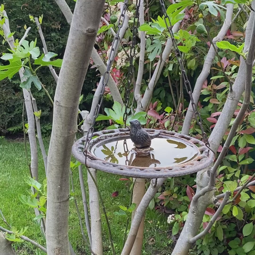 Öntött Vas Felakasztható Madáritató és etető