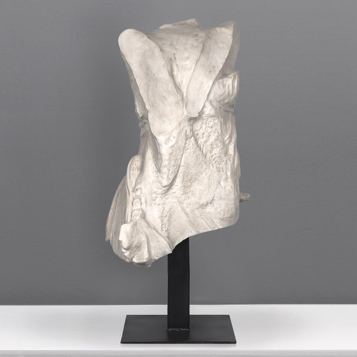 Samothracei Nike felsőtest szobor